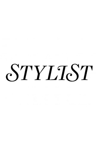 Logo Stylist